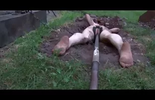 Meleg vágyak amatőr házi sex videó két gyönyörű hölgyek nagy kalapok az új év
