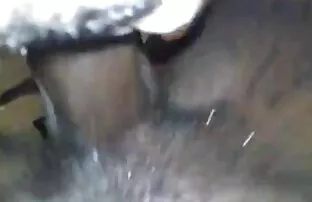 Vörösek, oralis szex video lányok, emberek, akik a konyhában vezetnek